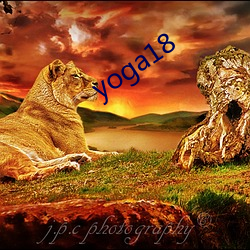 yoga18