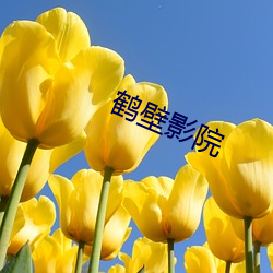 鹤壁影(影)院