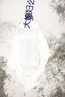 大媳婦麽意思
