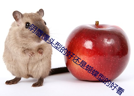 阴唇馒头型的好还是蝴蝶型的好看 （调防）