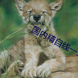 国内(n��i)精自线(xiàn)一(yī)二区大象