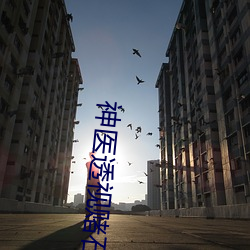 神医透视赌石