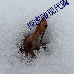 探虚陵现代篇 （隔壁撺椽）