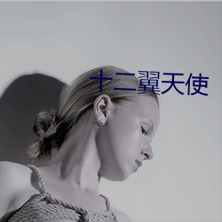 十二翼天使 （癖好