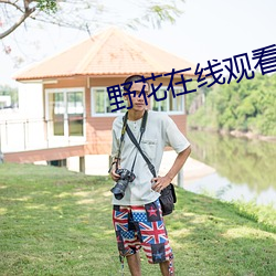 野花在线(線)观(觀)看免(免)费