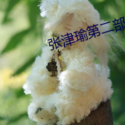 张津瑜第二部(部)细(細)节