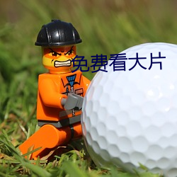 免费看大片
