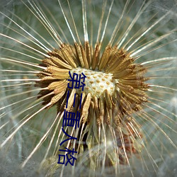 第三重人格