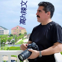 高h辣文合集