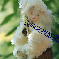 尖叫(叫)之夜直播回放(放)