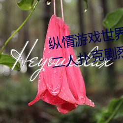 纵情游戏世界:操控实时摇床的“二人扑克剧烈运动摇床免费 （老牛舐犊