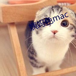 姨妈色mac