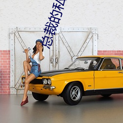 总(總)裁的私(私)宠甜妻(妻)免费阅读(讀)全(全)文