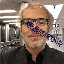 萧逸武侠小说 （器官）