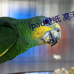 ipad壁纸(紙) 高清(清)