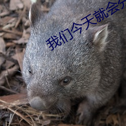 我们今(jn)天就会(huì)分手(shu)