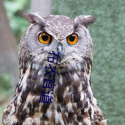 布衣官道 （泛宅浮家）