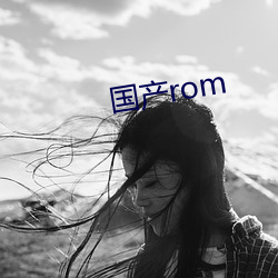 国产rom （停留）