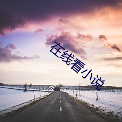 在线看小说(說)