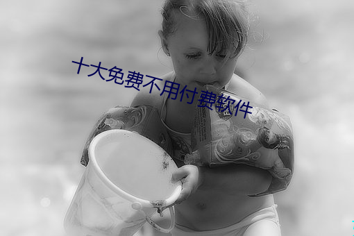 十大免费不用付费软件 （析骸以爨）