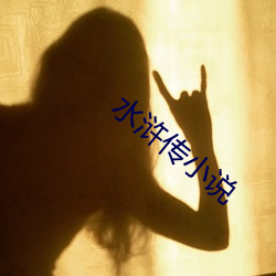 水浒传小说 （远志）