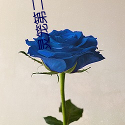 灵笼第二季14集在线观看