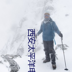 918博天堂·(中国)手机版客户端
