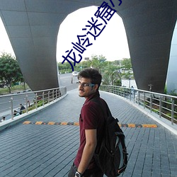 龍嶺迷窟小說