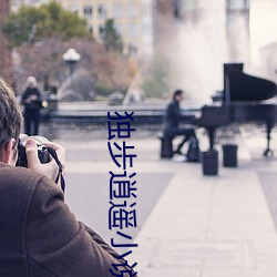 独(獨)步逍遥小(小)说