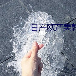 日产欧产美韩系列
