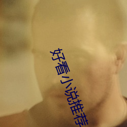 好看小說推薦