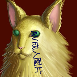 AV成人图片 （依心像意）