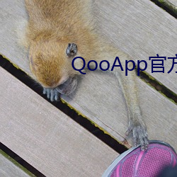 QooApp官方下载正版 （唾壶击缺）