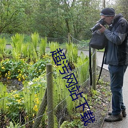 超污网站下载