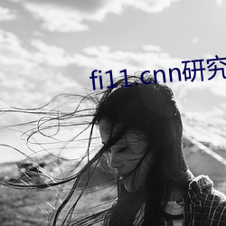 fi11.cnn研究