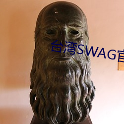 台湾SWAG官方网站