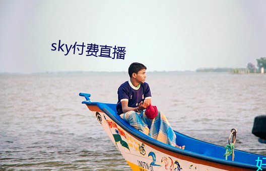 skyֱ վ