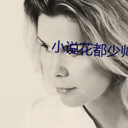 小说花都少帅