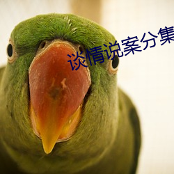 谈情说案分集剧情 （渐不可长）