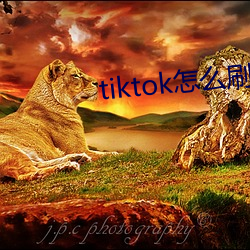 tiktok怎(怎)么刷黄