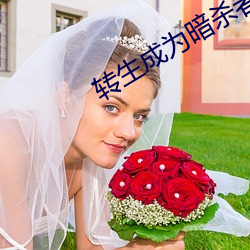 转生(生)成为暗(暗)杀者贵(貴)族的异世