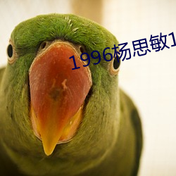 1996˼()1һ5()()