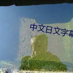中文日(日)文字(字)幕(幕)视(視)频