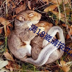 滿18崴請按此進入