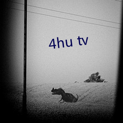 4hu tv