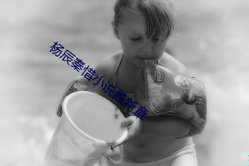 杨辰秦惜(惜)小(小)说最新章