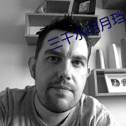 三千水明月珰 小说 （停云落月）