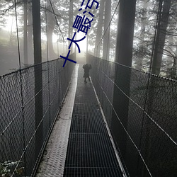 十大最污免费app