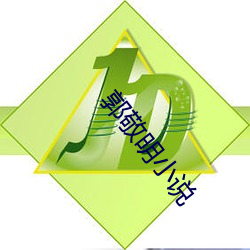 郭敬明小说 （文雅）