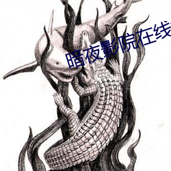 暗夜影院在线视频 （比物此志）